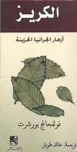 غلاف كتاب أزهار الجرانيا الحزينة
