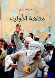 غلاف كتاب متاهة الأولياء