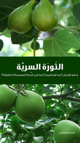 غلاف كتاب الثورة السرية