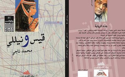 غلاف كتاب قيس ونيللي