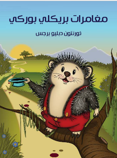 غلاف كتاب مُغَامَرَاتُ بريكلي بوركي