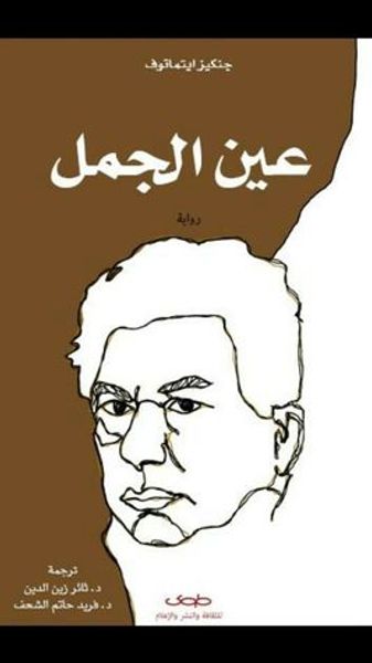 غلاف كتاب عين الجمل