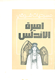 غلاف كتاب أميرة الأندلس
