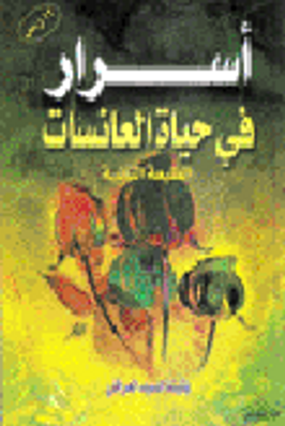 غلاف كتاب أسرار في حياة العانسات