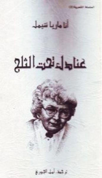 غلاف كتاب عنادل تحت الثلج