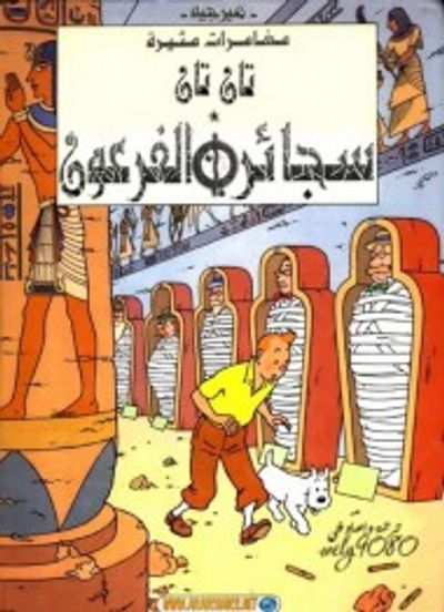 غلاف كتاب تان تان وسجائر الفرعون