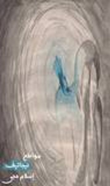 غلاف كتاب مواطن نيجاتيف