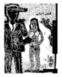 غلاف كتاب العرس