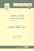 غلاف كتاب زمن الميلاد الجديد (2010)