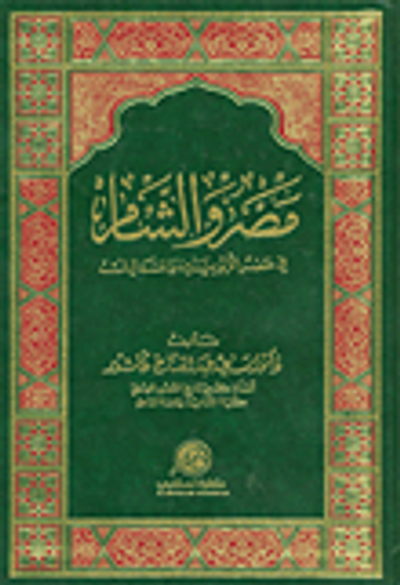 غلاف كتاب مصر والشام في عصر الأيوبيين والمماليك