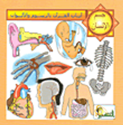 غلاف كتاب سلسلة آيات القرآن بالرسوم والألوان