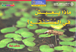 غلاف كتاب ماذا يعيش في المستنقع؟