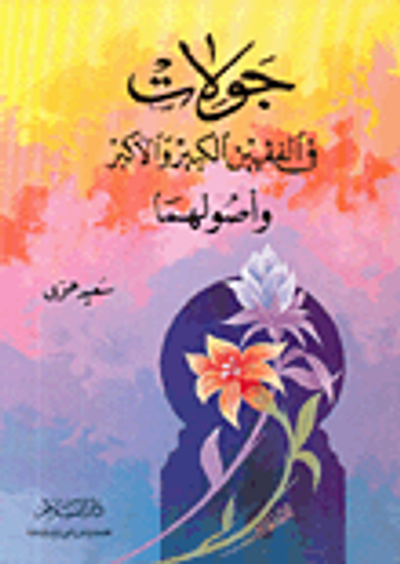 غلاف كتاب جولات في الفقهين الكبير والأكبر وأصولهما