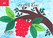 غلاف كتاب حبة التوت (حرف ت)
