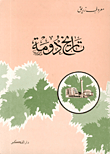 غلاف كتاب تاريخ دومة