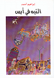 غلاف كتاب التيه في أيس