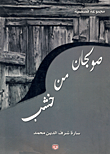 غلاف كتاب صولجان من خشب