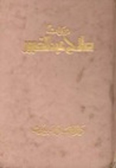 غلاف كتاب ديوان صلاح عبد الصبور