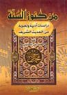 غلاف كتاب من كنوز السنة