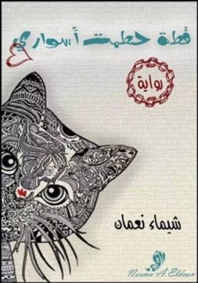 غلاف كتاب قطة حطمت أسوارى