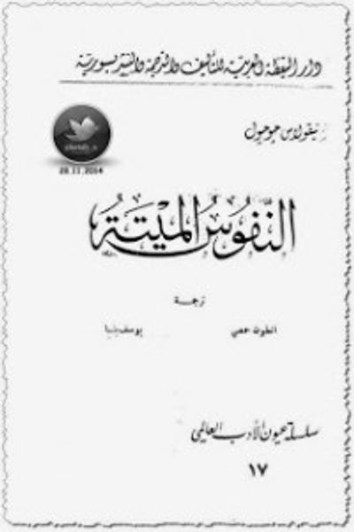 غلاف كتاب النفوس الميتة
