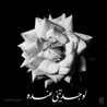 غلاف كتاب لوجدتني عنده