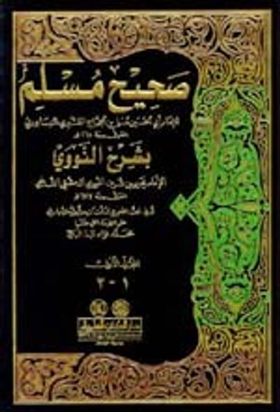 غلاف كتاب صحيح مسلم بشرح النووي 1/10 مع الفهارس - مرقمة الاحاديث - لونان