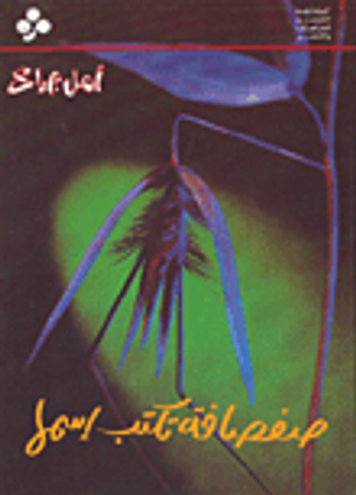 غلاف كتاب صفصافة تكتب إسمها