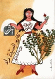 غلاف كتاب تقارير السيدة راء
