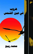 غلاف كتاب هروب فى عين الشمس