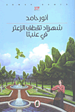 غلاف كتاب شهرزاد تقطف الزعتر في عنبتا