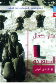 غلاف كتاب الصفيحة وقصص أخرى