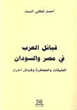 غلاف كتاب الأدله الرقمية المتحصلة من التفتيش الالكتروني