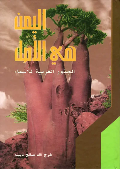 غلاف كتاب اليمن هي الأصل ؛ الجذور العربية للأسماء