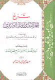غلاف كتاب شرح قطر الندى وبل الصدى ومعه كتاب سبيل الهدى بتحقيق شرح قطر الندى