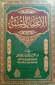 غلاف كتاب الانتصار للسنة