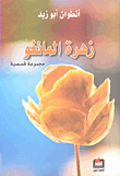 غلاف كتاب زهرة المانغو - مجموعة قصصية