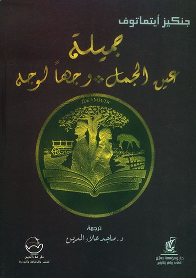 غلاف كتاب جميلة عين الجمل وجهاً لوجه