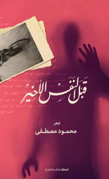 غلاف كتاب الأنثى قبل الأخيرة