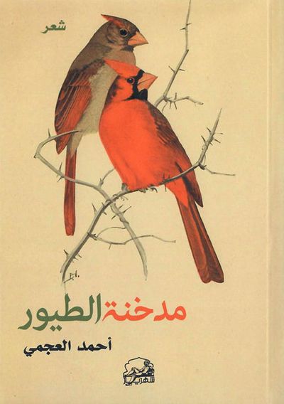 غلاف كتاب مدخنة الطيور