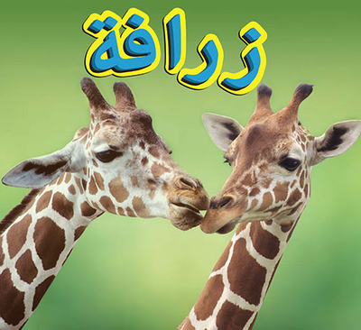 غلاف كتاب زرافة