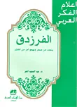 غلاف كتاب الفرزدق (ينحت من صخر ويهجو بأمر من الصبر)
